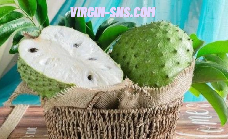 Buah Sirsak Makanan Yang Berasal Dari Amerika Serikat